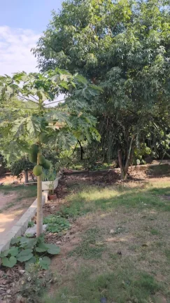 Imagem Chácara à venda, com 2 quartos, 150m2