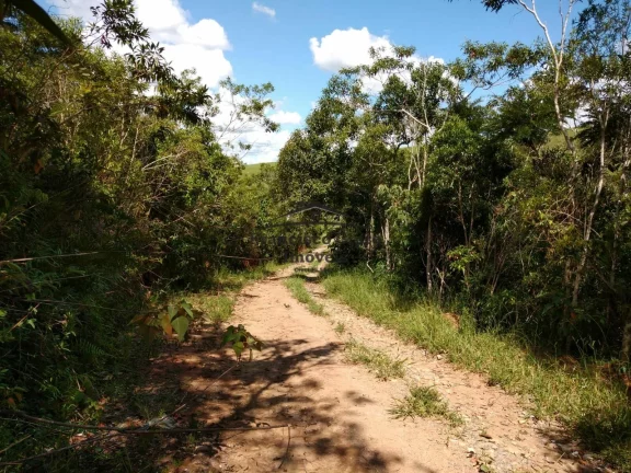 Imagem Chácara à venda no bairro Rocinha - Guaratinguetá/SP
