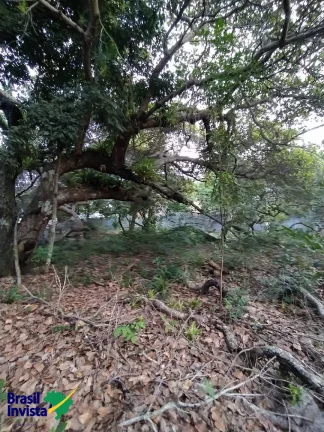 Imagem ÁREA EM ARRAIAL D'AJUDA
