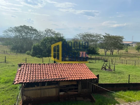 Imagem CHACARA RURAL em ILHA SOLTEIRA - SP, Zona Rural
