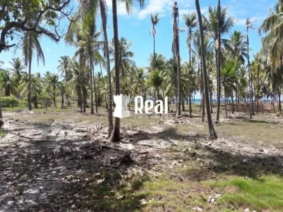 Imagem Terreno Pé na Areia