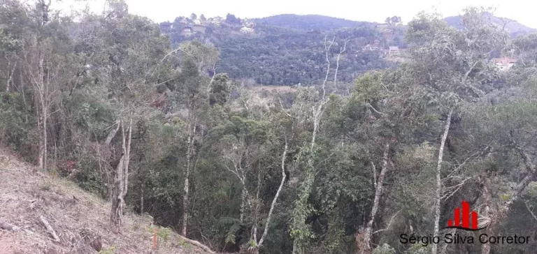 Imagem Terreno a Venda na Região do Atalaia Campos do Jordão / SP