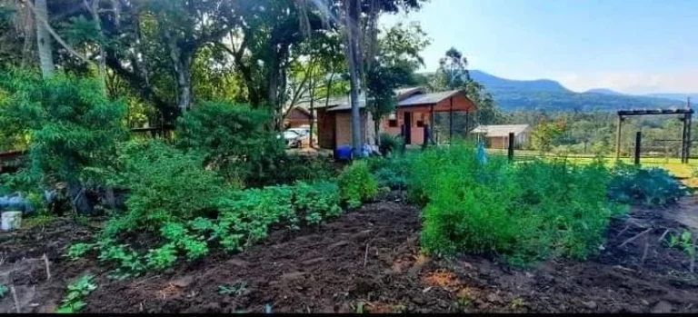 Imagem Lindo Sítio em Arárica com 2 casas construídas