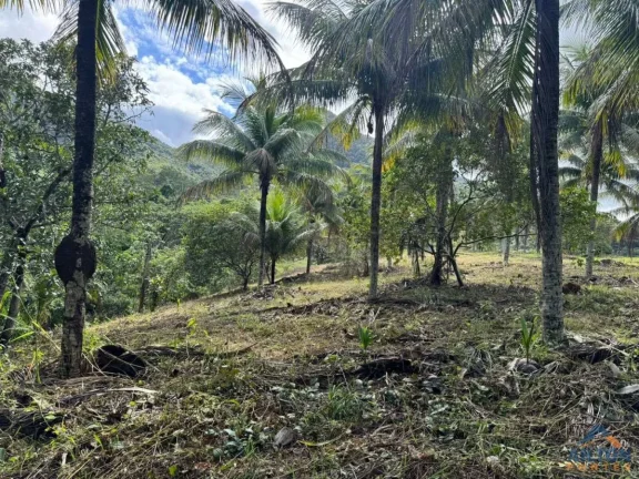 Imagem Terreno com 1100m2 à Venda Próximo a Figueira Café em Jaboti - Guarapari/ES