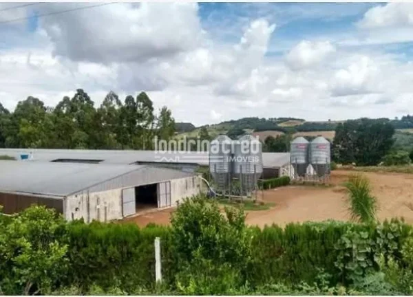 Imagem Sítio à venda, RURAL, Roncador, PR