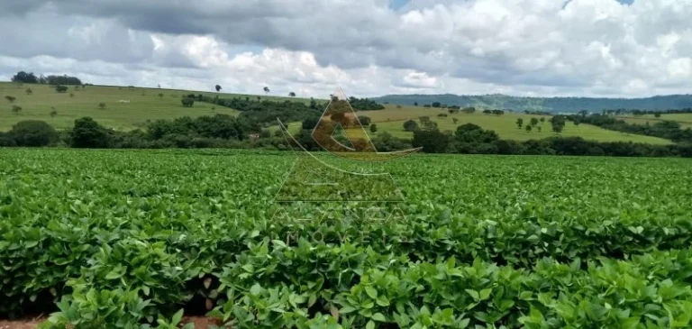 Imagem Fazenda - Itamogi - Itamogi
