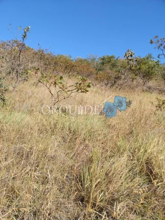 Imagem Fazenda à venda na Área Rural de Rio Verde-GO