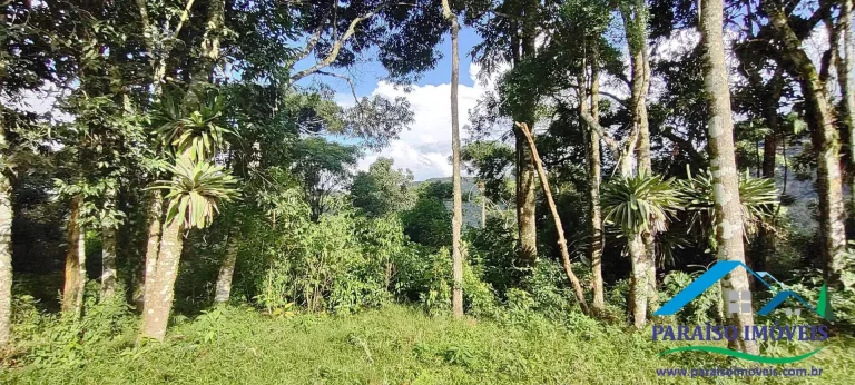 Imagem Terreno Exuberante no Bairro Campestre, Gonçalves – Serra da Mantiqueira