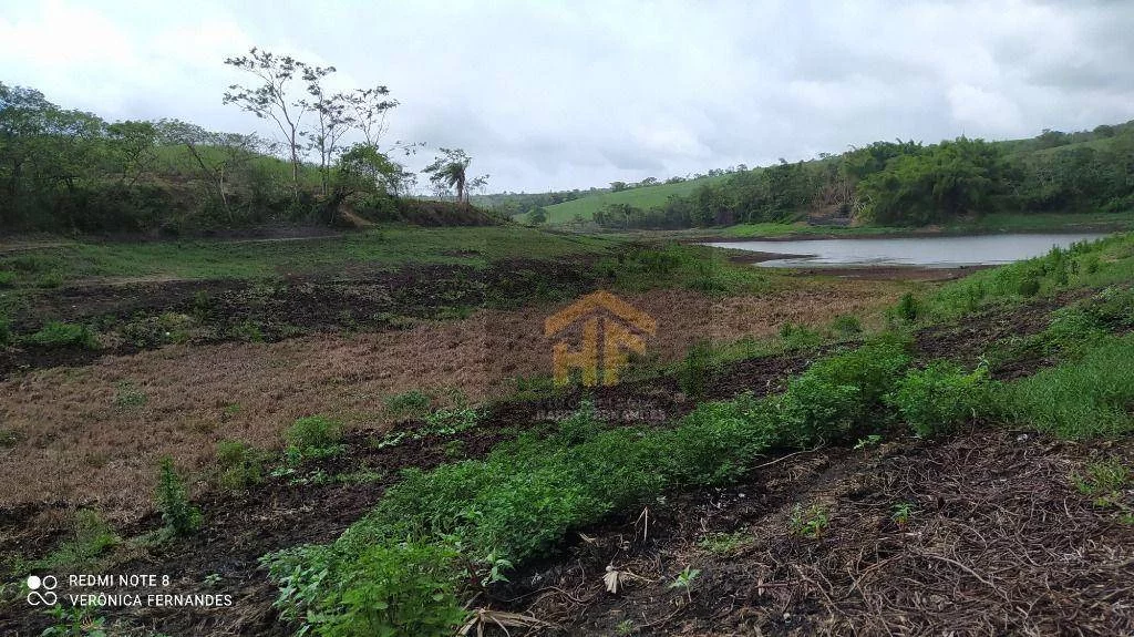 Imagem Fazenda à Venda, 160.000 m² em Rural - Paudalho