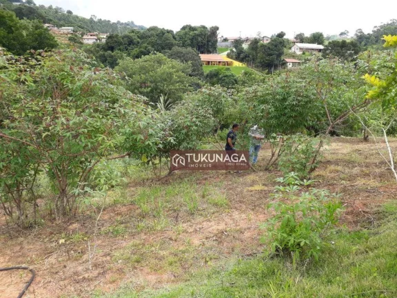 Imagem Sítio à venda, 82450 m² por R$ 1.100.000,00 - Pitangueiras - Pedra Bela/SP