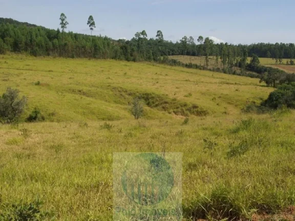Imagem SÍTIO A VENDA 12,5 ALQUEIRES a R$ 88.000 o Alqueire, JACUÍ - SUL DE MINAS GERAIS, para gado, milho, soja.