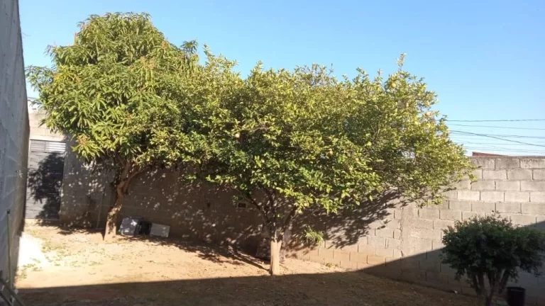 Imagem Casa com 2 dormitórios à venda, 100 m² por R$ 380.000,00 - Cidade Boa Vista - Suzano/SP