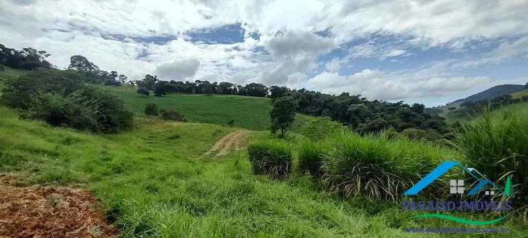 Imagem Invista em Sustentabilidade: Sítio com Nascentes e Preservação