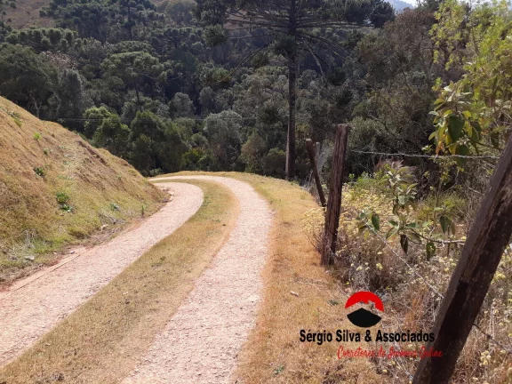 Imagem Terreno a Venda na Região do Atalaia em Campos do Jordão - SP.