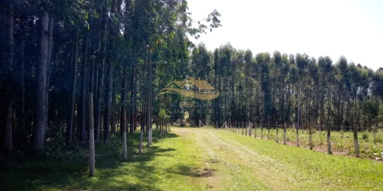 Imagem SITIO RURAL em RAFARD - SP, RURAL