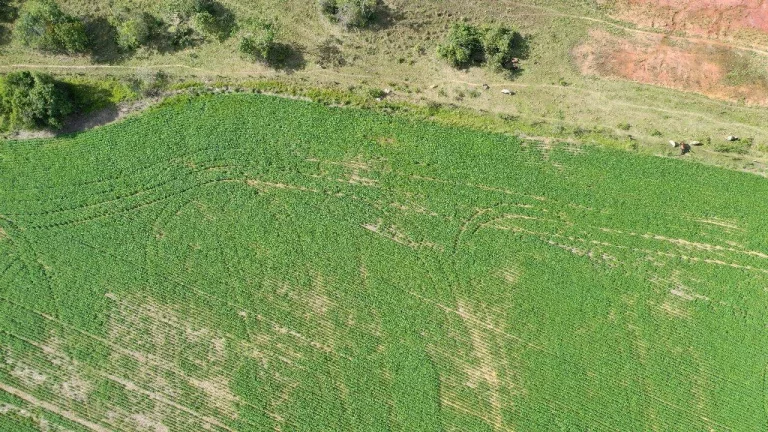 Imagem Fazenda à Venda em Santa Cruz de Goiás – Dupla Aptidão!