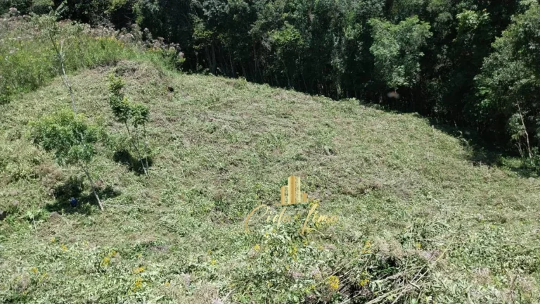 Imagem Vendo sítio/ Chácara, 12 Hectares em Alfredo Wagner SC.