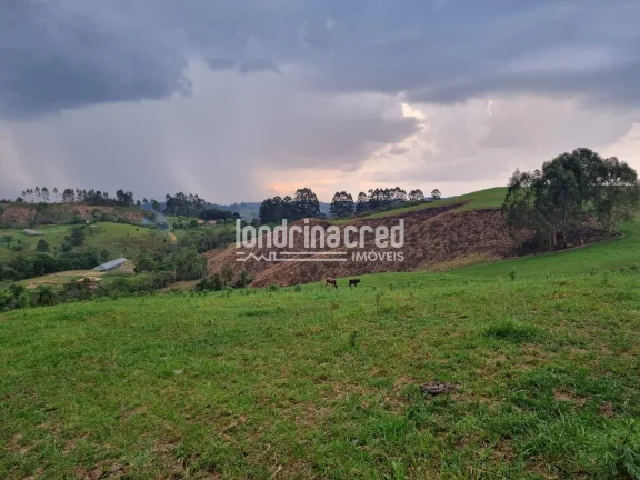 Imagem Chácara à venda 744000M², Zona Rural, Castro - PR