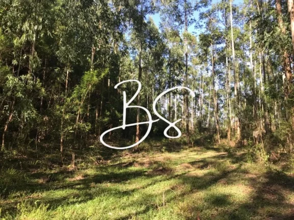 Imagem AREA RURAL em SANTO ANTÔNIO DA PATRULHA - RS, Pinheirinhos