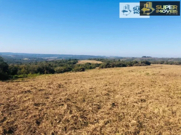 Imagem Fazenda para Venda em Herval-RS 288 hectares