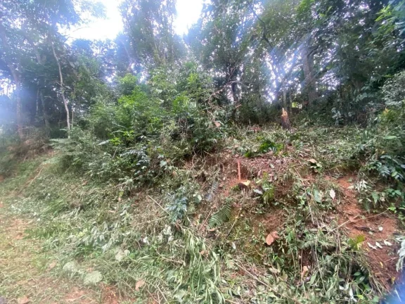 Imagem Terreno à venda, 300 m² por R$ 45.000,00 - Parque Astúrias - Suzano/SP