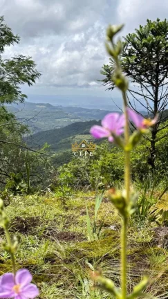 Imagem Terreno com 2 Dormitorio(s) localizado(a) no bairro Mato Comprido em Morro Reuter / RIO GRANDE DO SUL Ref.:1571