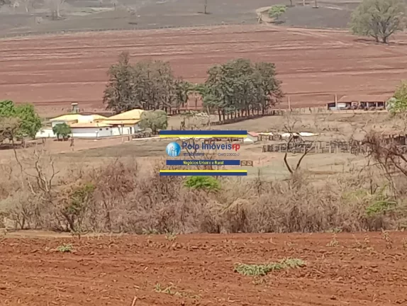 Imagem Fazenda 181 hectares montada para criação de bovinos até 220 cabeças e planta café, próximo de Altinópolis - São Paulo.