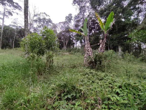 Imagem CHÁCARA RESIDENCIAL À VENDA, ESTÂNCIA PIRATININGA/PALMEIRAS, SUZANO