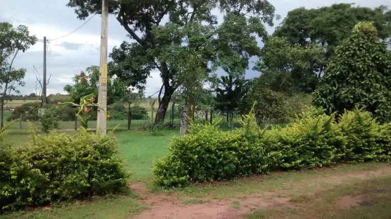 Imagem Chácara