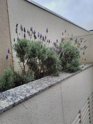Imagem Apartamento Garden para Venda em Santo André / SP no bairro Vila Curuçá
