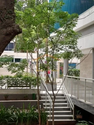 Imagem Apartamento, 53m², 2 dormitórios, sendo 1 suíte, sala para 2 ambientes, varanda arejada, 2 banhei...