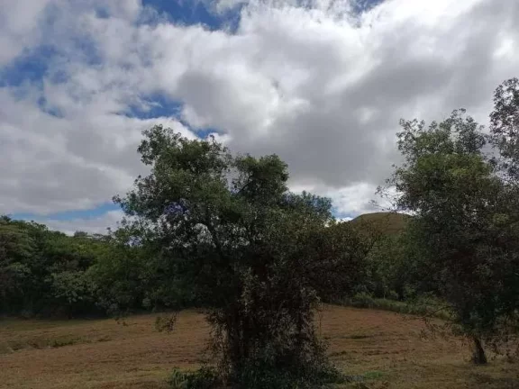 Imagem Oportunidade Única: Terreno de 5.500m2 em Campolide