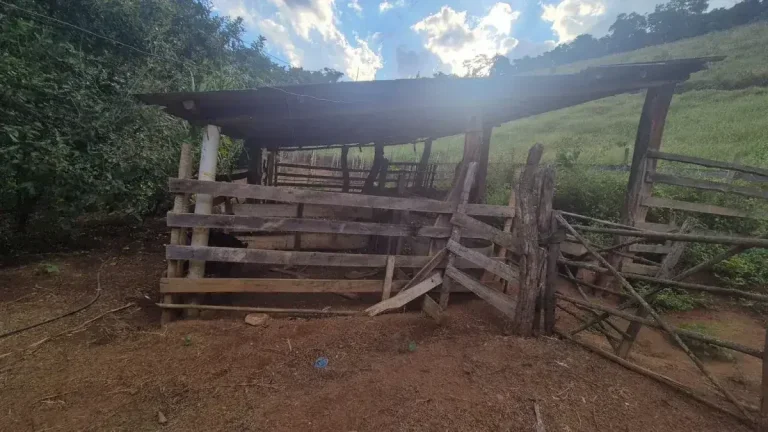 Imagem Sítio Encantador com Pomar, Solo Fértil e Construção Rústica em Antônio Carlo