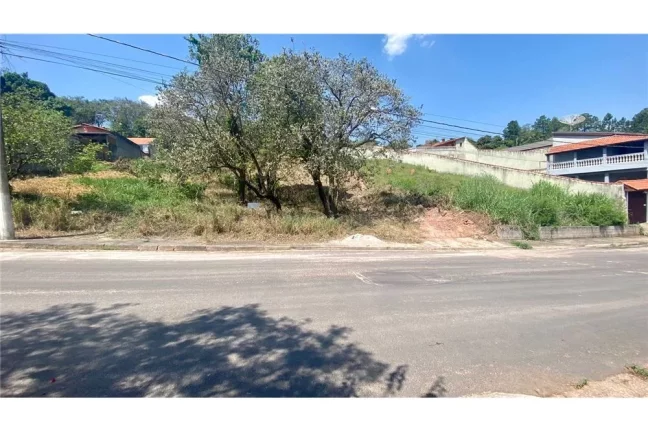 Imagem IRYROM 708 Lote 690591011-41