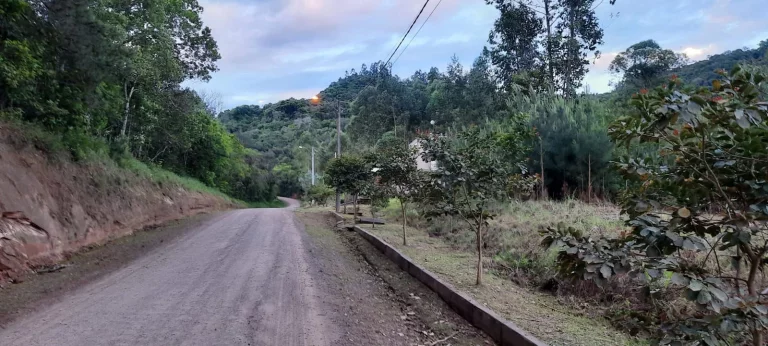 Imagem Terreno com 2 Dormitorio(s) localizado(a) no bairro Joaneta em Picada Café / RIO GRANDE DO SUL Ref.:DW150903