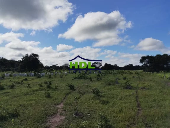 Imagem Fazenda especial 298 Alqs Cocalinho MT faz permuta prox a Goiânia
