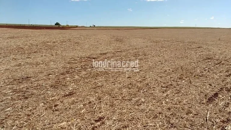 Imagem Chácara à venda 3000M², Centro, Cornélio Procópio - PR