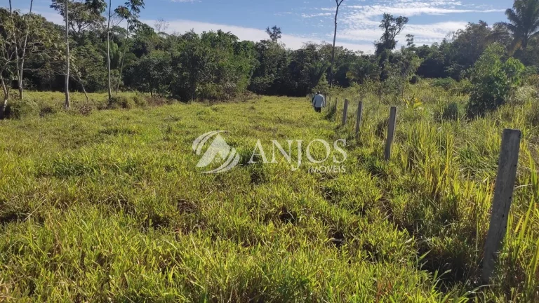 Imagem Sítio 68 HÉCTARES A 80 KM DE SINOP à venda, ÁREA RURAL, SINOP - MT