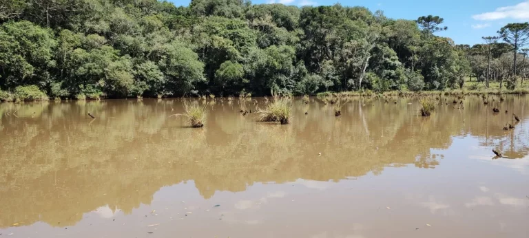 Imagem TERRENO RURAL em CAMPO BELO DO SUL - SC, Área Rural