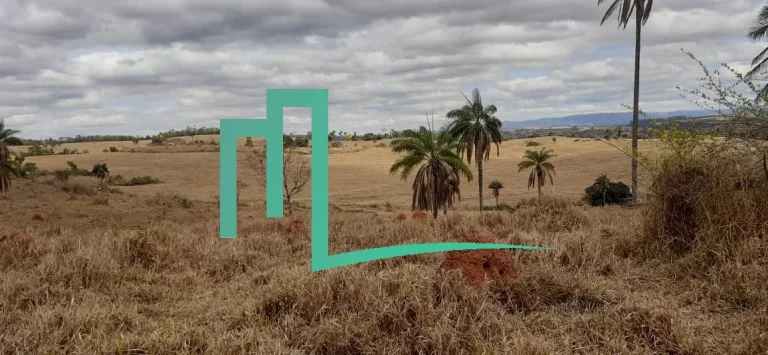 Imagem Fazenda entre Cassia e Passos