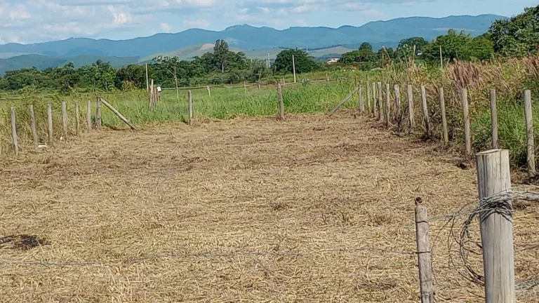 Imagem Terreno da Colônia do Piagui