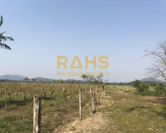 Imagem Fazenda mais linda de Garuva, é 100% plana, pode-se ver o gado de ponta a ponta da fazenda, tendo u...