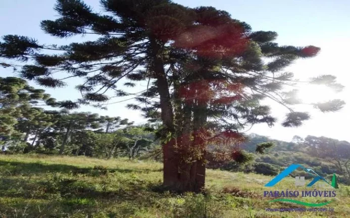 Imagem Refúgio na Serra da Mantiqueira: Lote em Condomínio com Acesso a Cachoeira!