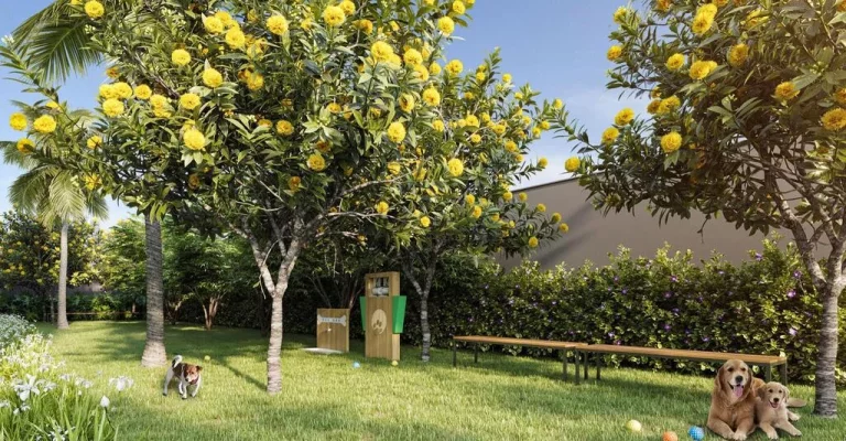 Imagem Apartamento com 3 Quartos à Venda, 70 m² em Butantã - São Paulo