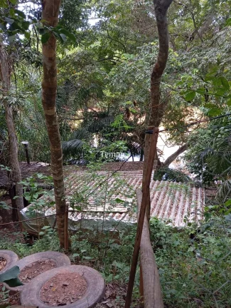 Imagem Chácara à venda - Cezarina/GO