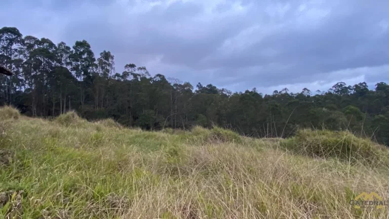 Imagem Ótima Área para Investimento em Jarinu