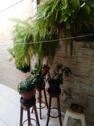 Imagem Venda - Casa 03 Quartos em Condomínio - Zona Sul