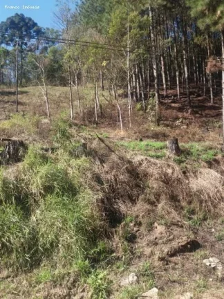 Imagem Área para Venda em Ribeirão Pires, Ouro Fino Paulista