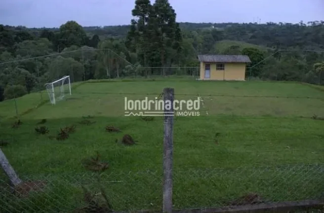 Imagem Chácara à venda 529000M², Zona Rural, Tijucas do Sul - PR