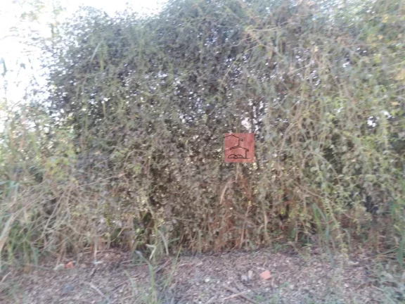 Imagem TERRENO RESIDENCIAL em MARICÁ - RJ, RINCÃO MIMOSO (ITAIPUAÇU)